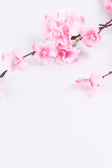 Plastic sakura on white background