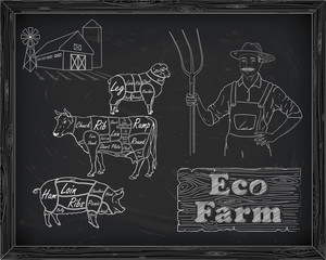 beautiful beef diagram, pork, lamb and farmer