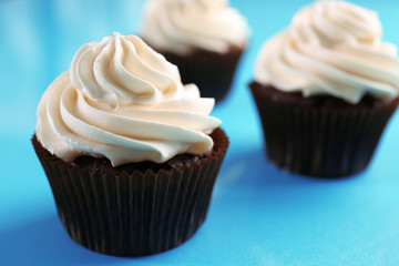 Chocolate cupcakes on blue background