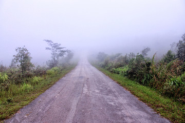 Mountain trails