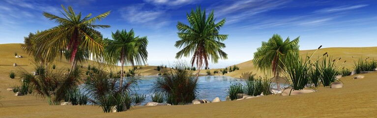 Fototapeta na wymiar oasis in the desert, palm trees and lake