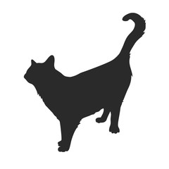 Silhouette of cat on a white background.  Vector illustration.