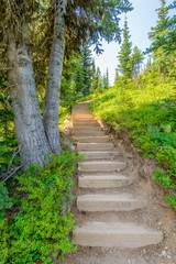 Fototapeta na wymiar A stairs at trail in Blackwall Peak trail at Manning Park, British Columbia, Canada.