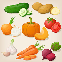 Set of vegetable. Vector illustrations