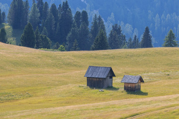 Prato Piazza - Val Pusteria
