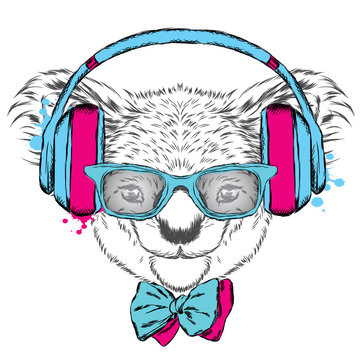 Koala vector. Cute koala on headphones. Hipster. music fan. Music.