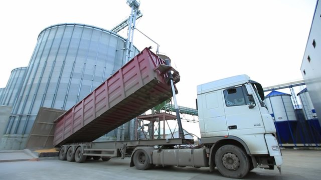 Unloading corn into the grain silo.
Truck unloading grain into elevator.