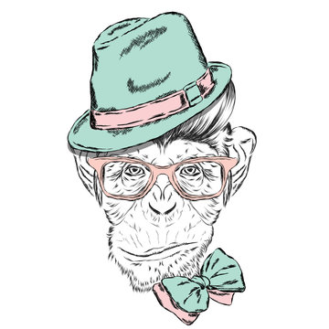 Monkey painted in the vector. Cute monkey in clothes. Hipster. Postcard with a monkey. Poster. Print.