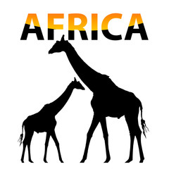 vector Africa