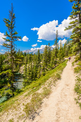 Fototapeta na wymiar Fragment of Five Lakes trail in Jasper, Alberta, Canada.