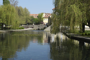 Fototapeta na wymiar Pond in the center of Tapolca,Hungary