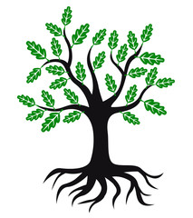 Oak tree icon with green leaves and roots