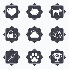 Veterinary, pets icons. Dog paw, syringe signs.