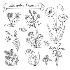 Set of hand drawn wild spring flowers. Vector illustration. Botany. Vintage flowers. Black and white illustration in the style of engravings.
