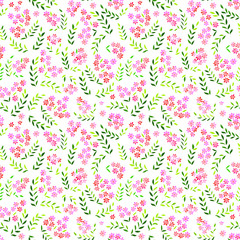 Seamless forget-me-not flowers pattern.  Floral background