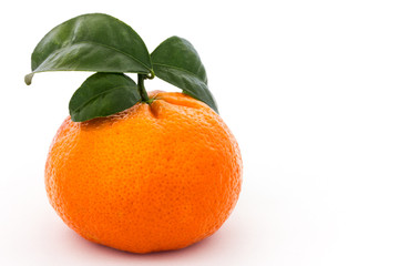 eine leckere Orange vor weißem Hintergrund