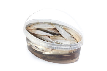 Salted herrings in a plastic pot