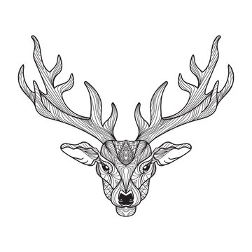 Deer head with horns