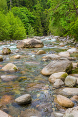 Beautiful Mountain River at North Vancouver, British Columbia, Canada.