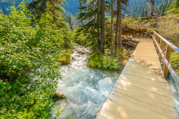 Fototapeta premium Majestic mountain river in Canada.