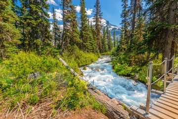 Fototapeta na wymiar Majestic mountain river in Canada. Upper Joffre Lake Trail in British Columbia.