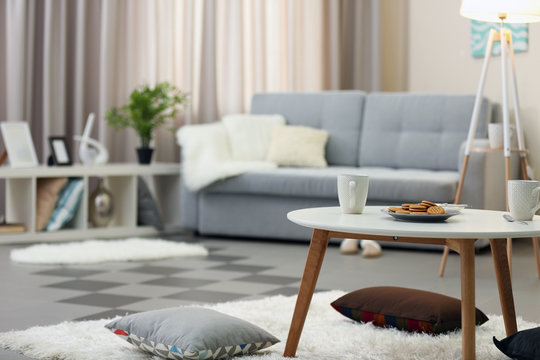 Stylish comfortable living room