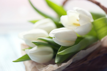 Fototapeta na wymiar White tulips in a wicker basket on a light-blue table