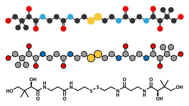Pantethine (dimeric vitamin B5) molecule.