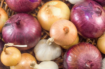 Bunch of garlic and onions