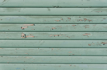 Fototapeta premium Section of green panelling from a beach hut, suitable for backgrounds of beach, seaside and summer holiday themes. Also gardening themes.