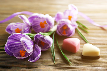 Beautiful crocus flowers with candies on wooden table closeup