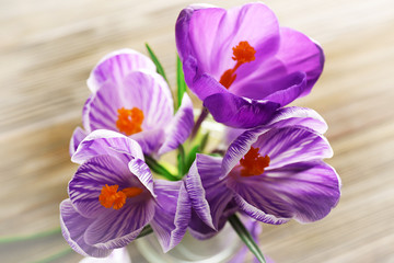 Fototapeta premium Beautiful crocus flowers in glass vase on wooden table closeup