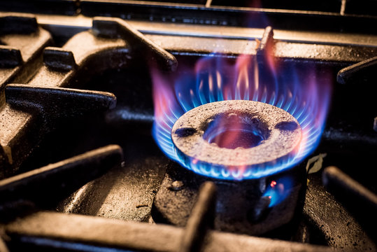 Gas burner stove 