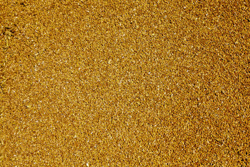 grain wheat , closeup