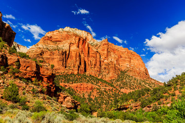 Fototapeta premium Zion National Park in Utah, USA.
