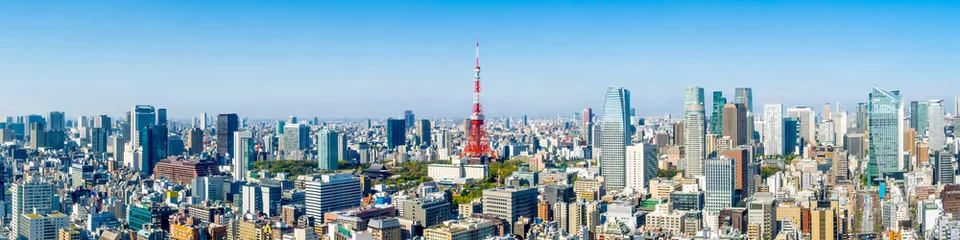 Foto op Aluminium De horizonpanorama van Tokyo met de toren van Tokyo en Roppongi © eyetronic