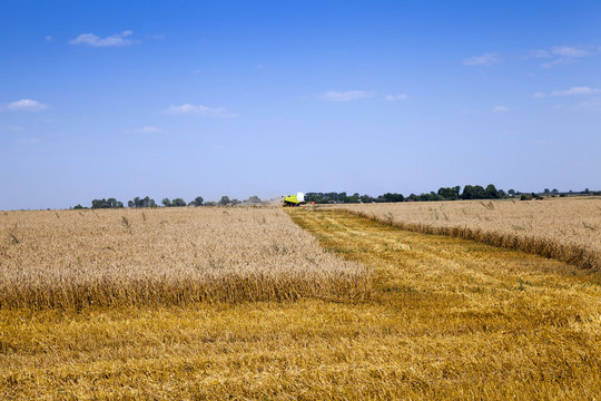 harvesting , the field