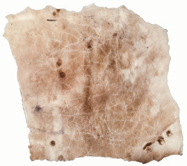 Textured Old Parchment with Torn Edges Isolated on White Backgrou