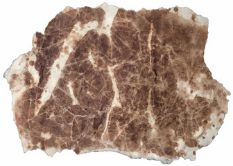 A Piece of  Old Stained Dark Brown Paper Isolated on White Backg