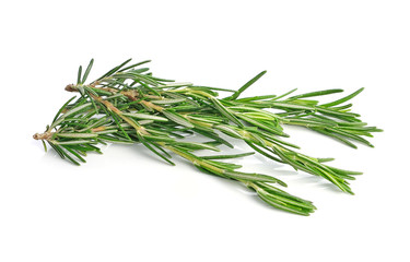 Fototapeta premium rosemary isolated on white background
