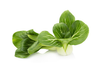 Pok Choi on white background