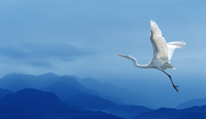 Tropical crane over blue sky © mbolina