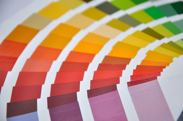 which colour for you?