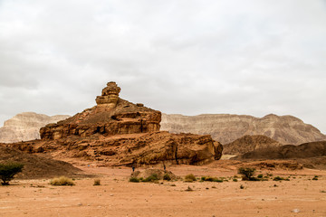 Fototapeta na wymiar Beautiful red sandstone in the desert in Israel, Timna Park