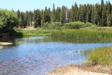 Pond At Tuolumne Meadows In Yosemite