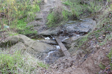 Plank Bridge Over Creek