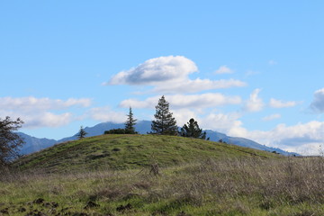 Hill With Mount Diablo In Background