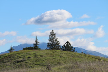 White Clouds Over Trees On Top Of HIll