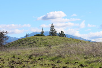 Clouds Over Trees On Top Of Hill
