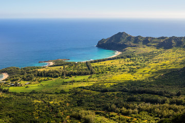 Aerial of green vegetation and water in Kauai